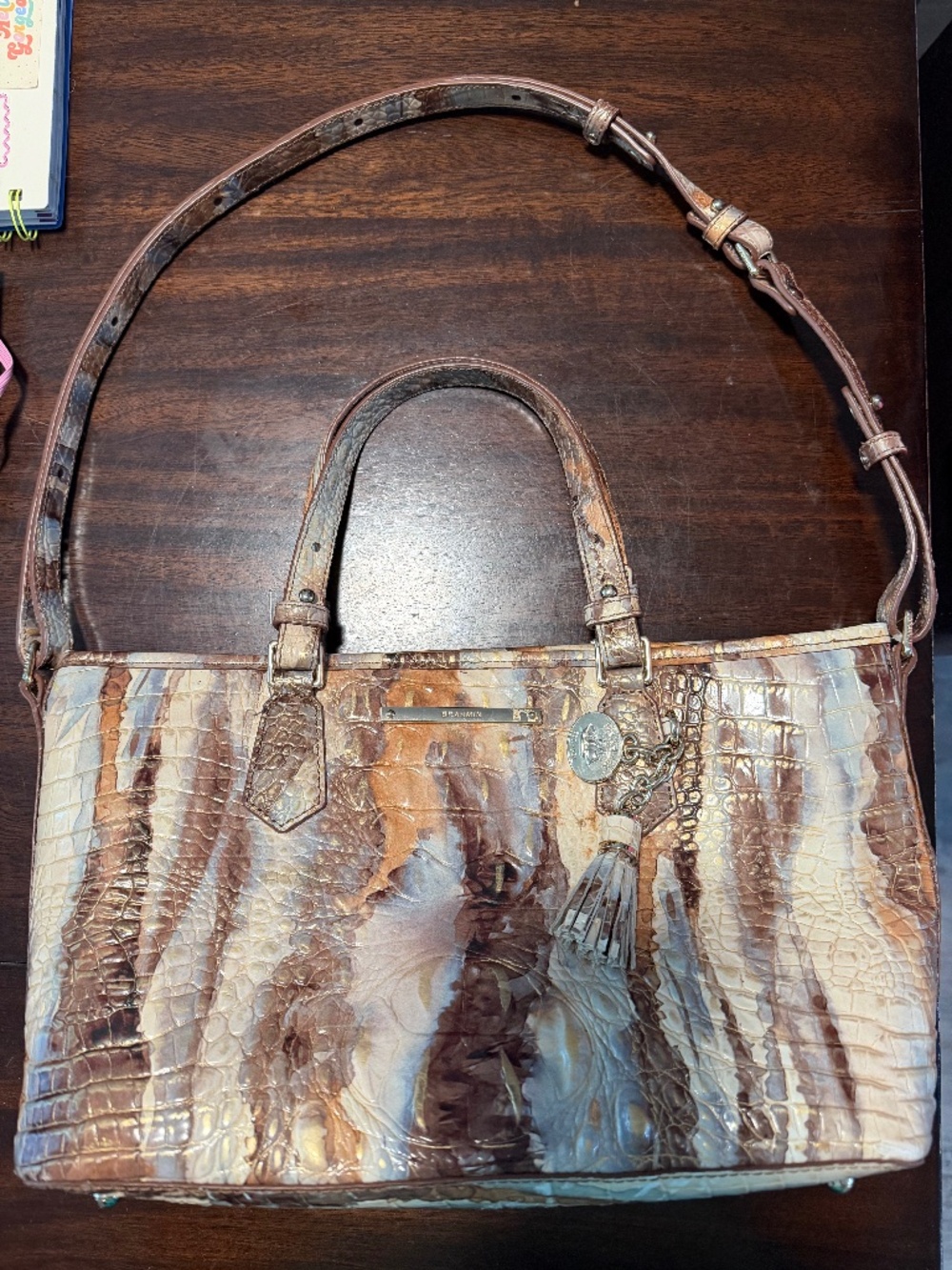 Brahmin Purse